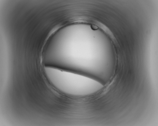 X0000114501234200910191130