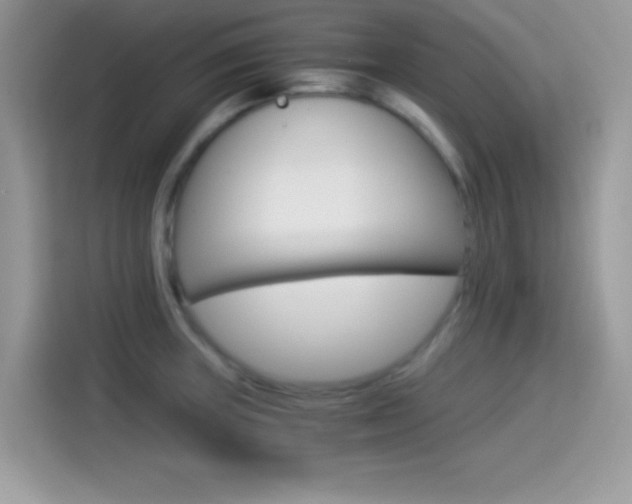 X0000114501235200910191130