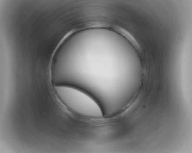 X0000114501236200910191130