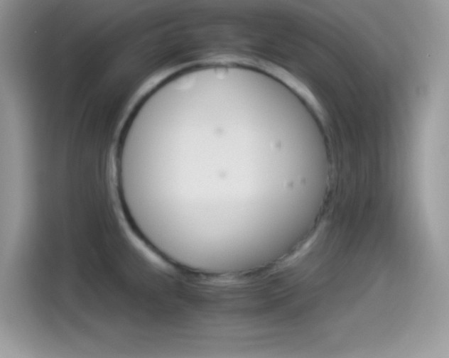 X0000114501239200910191130