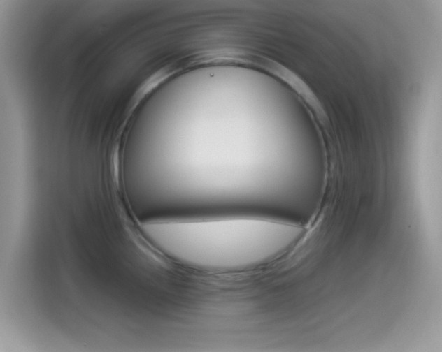 X0000114501242200910191130