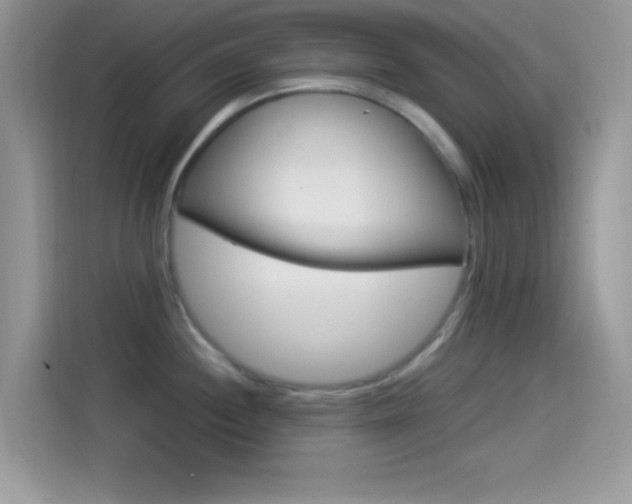X0000114501244200910191130