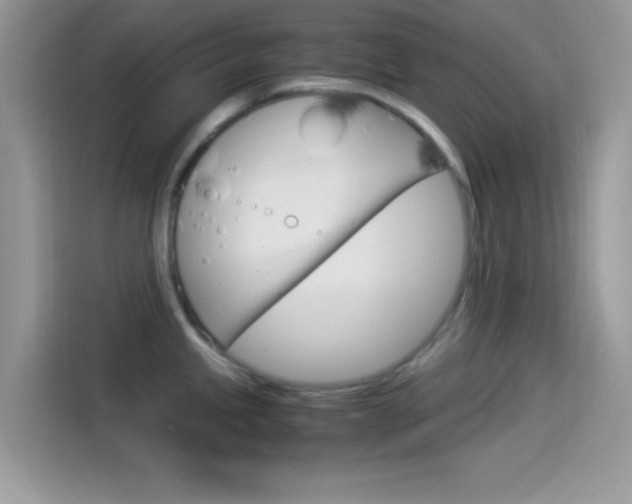 X0000114501245200910191130