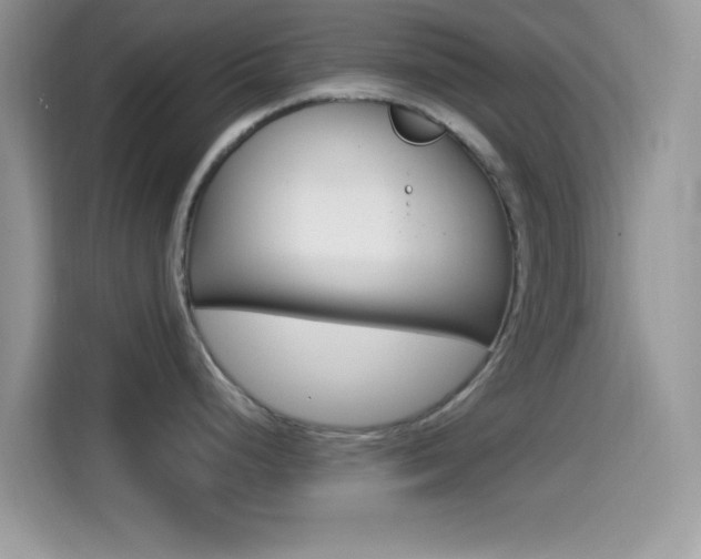 X0000114501248200910191130
