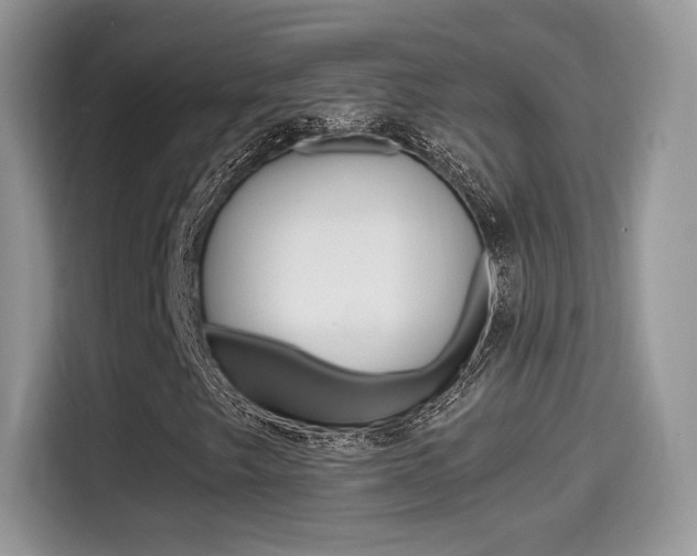 X0000114501249200910191129