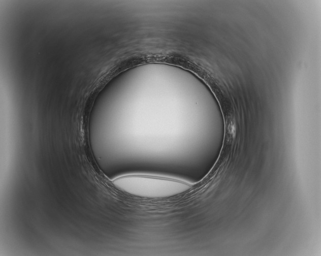X0000114501252200910191129