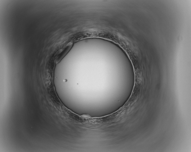 X0000114501253200910191129