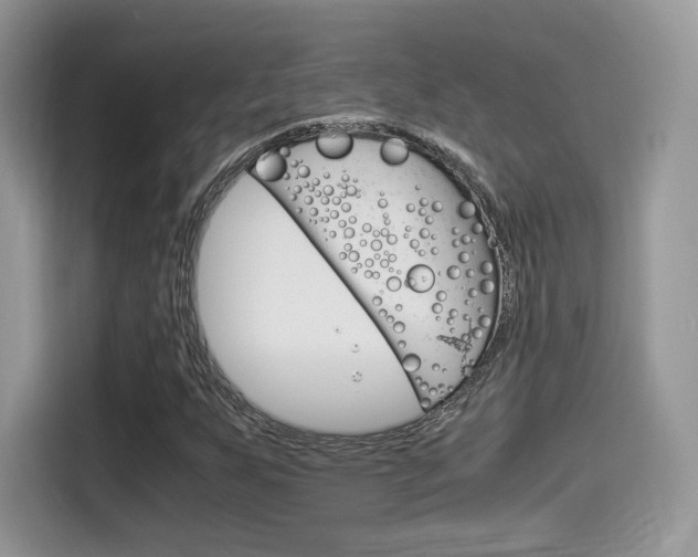 X0000114501255200910191129