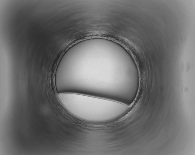 X0000114501257200910191129