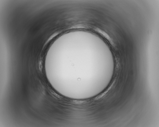 X0000114501258200910191129