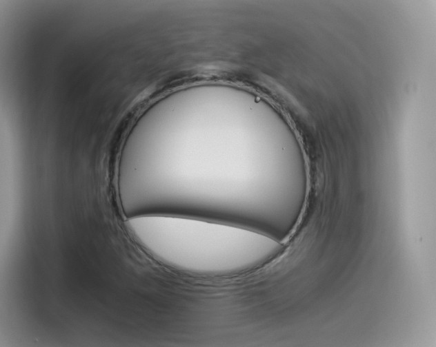 X0000114501261200910191129
