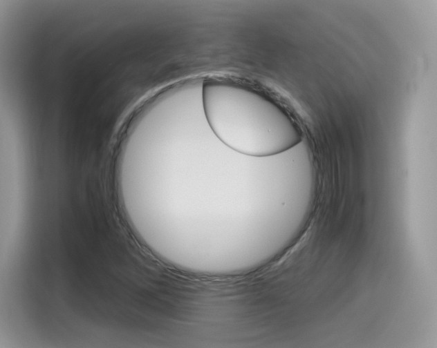 X0000114501262200910191129