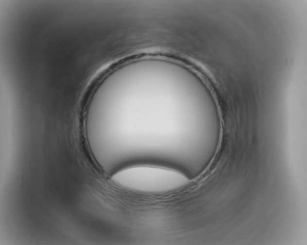 X0000114501263200910191129