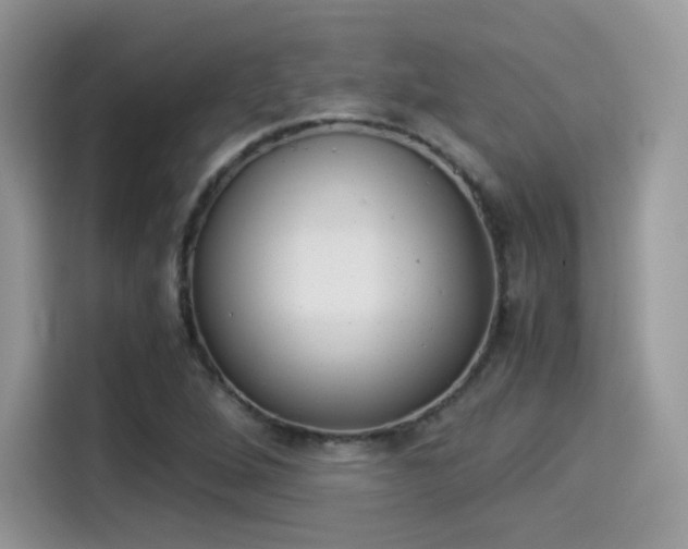 X0000114501264200910191129