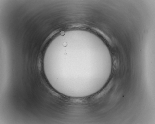 X0000114501266200910191129