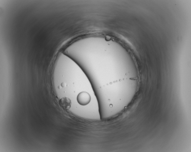 X0000114501267200910191129