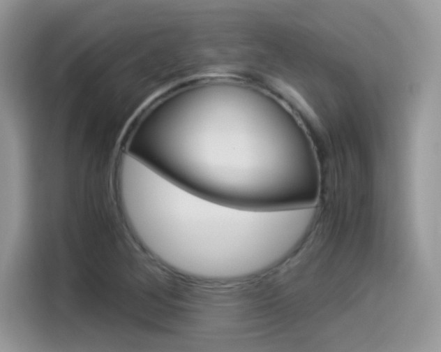 X0000114501268200910191129