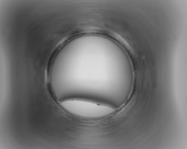 X0000114501269200910191129