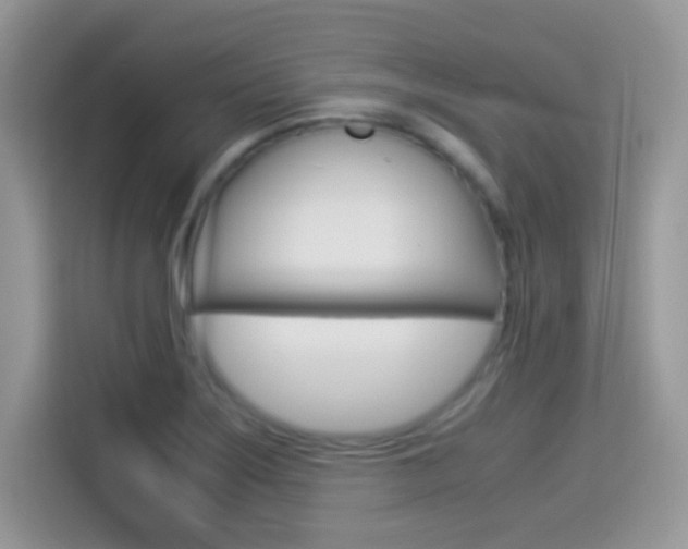 X0000114501275200910191129