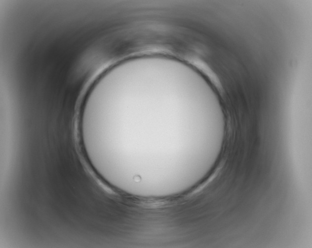 X0000114501278200910191129