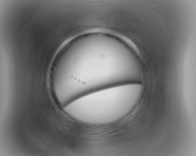 X0000114501279200910191129