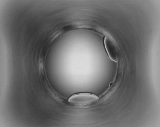 X0000114501281200910191129