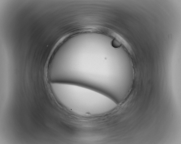 X0000114501283200910191129