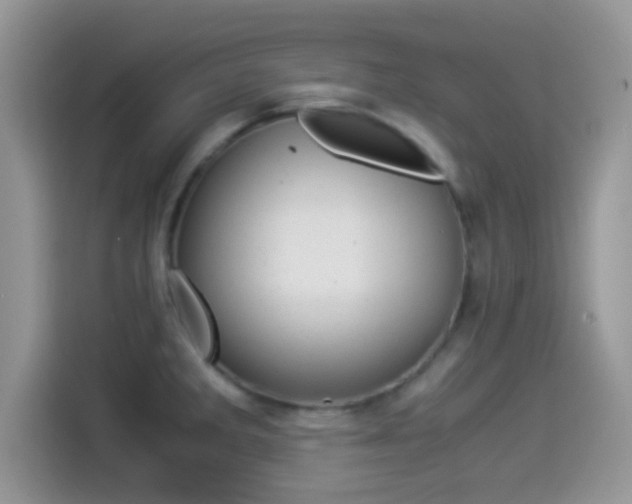 X0000114501285200910191129