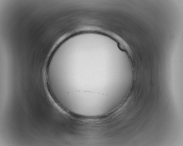X0000114501287200910191129