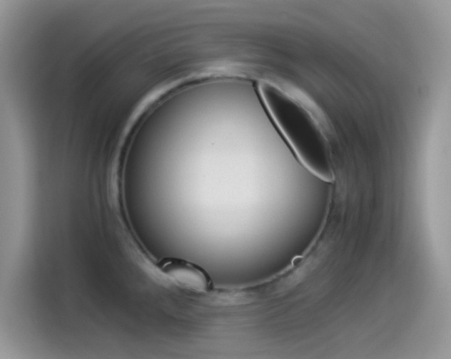 X0000114501288200910191129