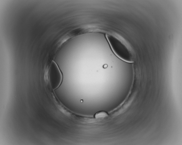 X0000114501289200910191129