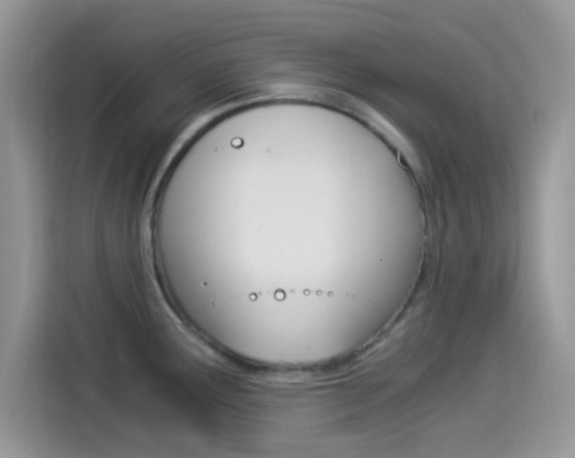 X0000114501291200910191129