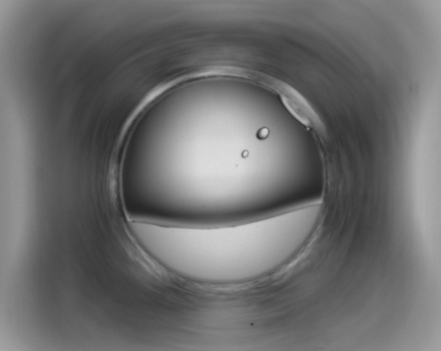 X0000114501292200910191129