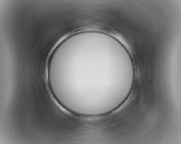 X0000114501294200910191129