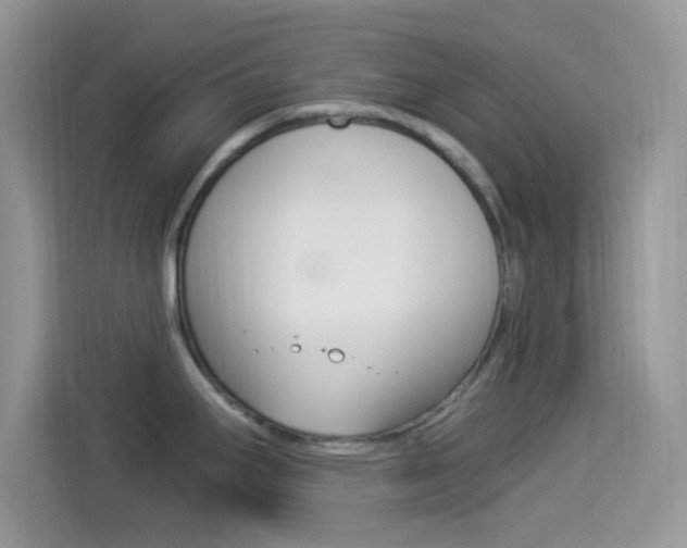 X0000114501295200910191129