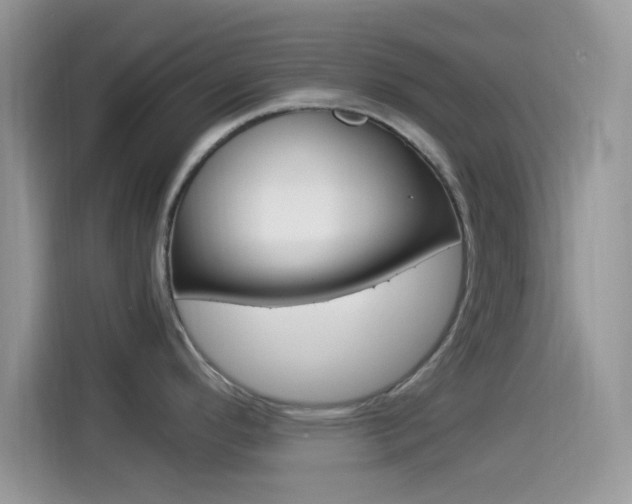 X0000114501296200910191129