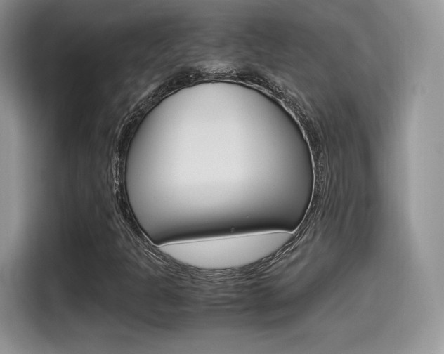 X0000114501301200910191128