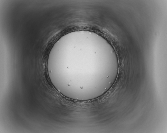 X0000114501302200910191128