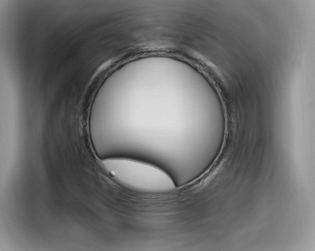 X0000114501306200910191128
