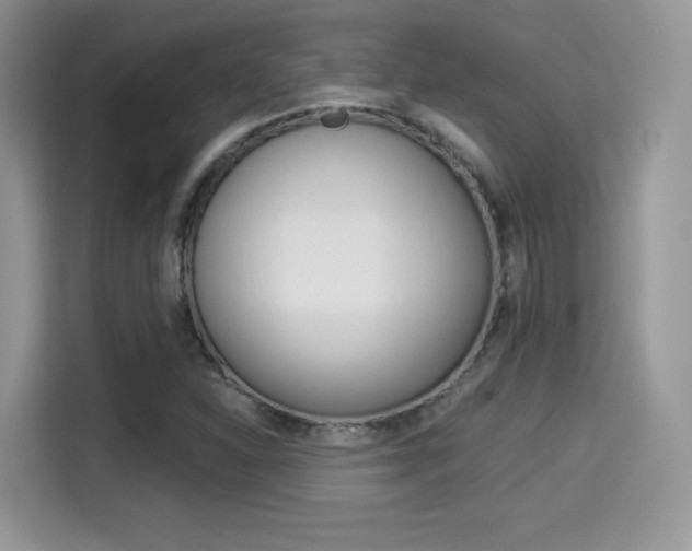 X0000114501310200910191128