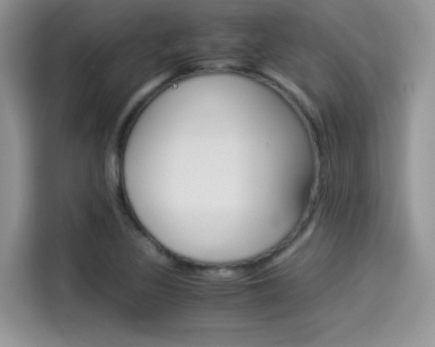 X0000114501317200910191129