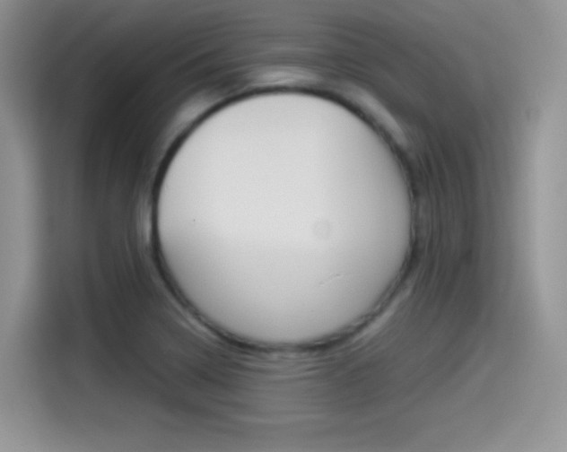 X0000114501322200910191129