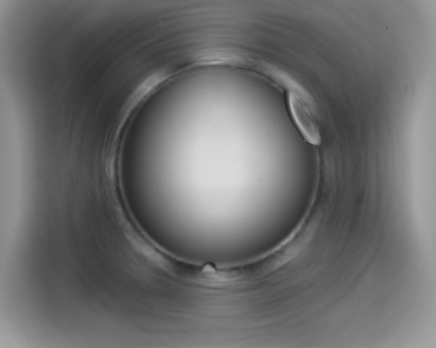 X0000114501330200910191129