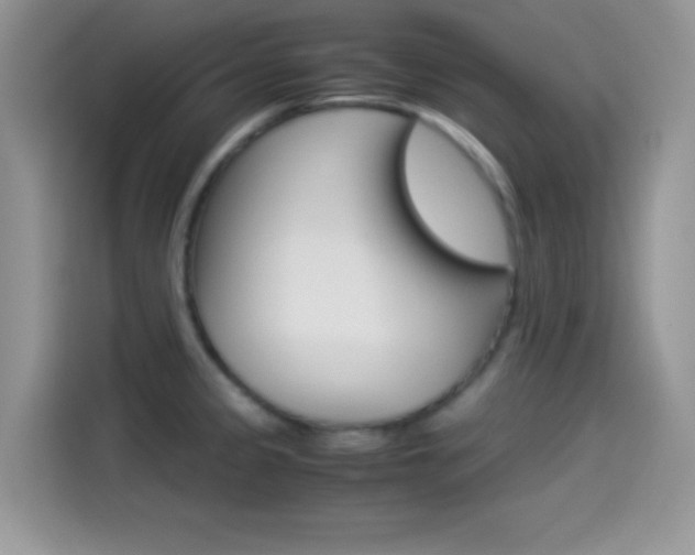 X0000114501333200910191129