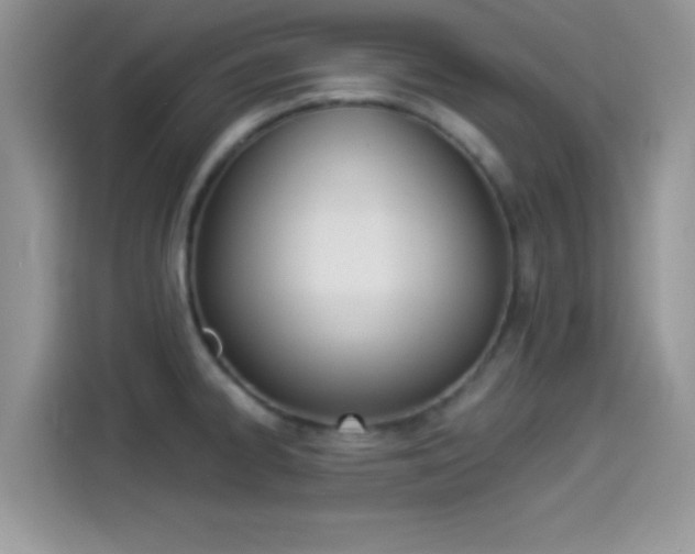X0000114501334200910191129