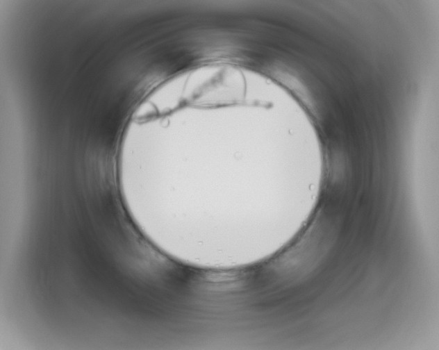 X0000114501338200910191129