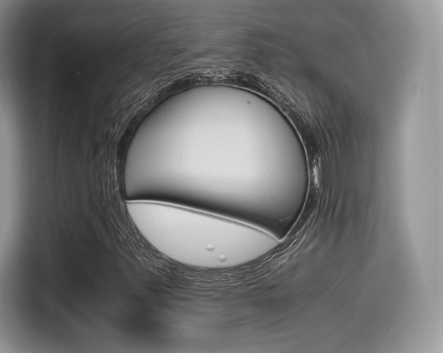 X0000114501347200910191128