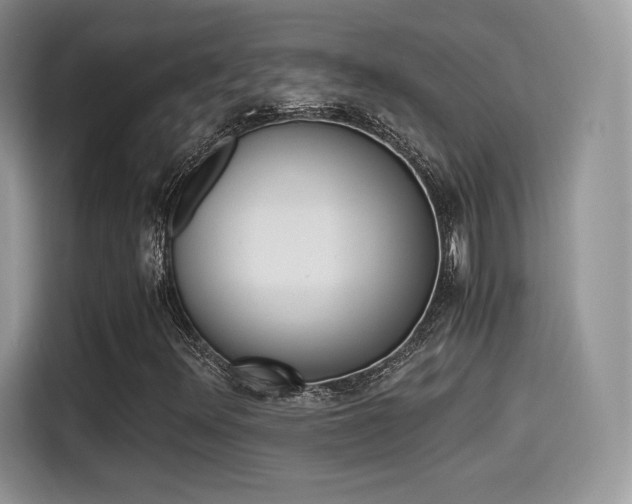 X0000114501348200910191128