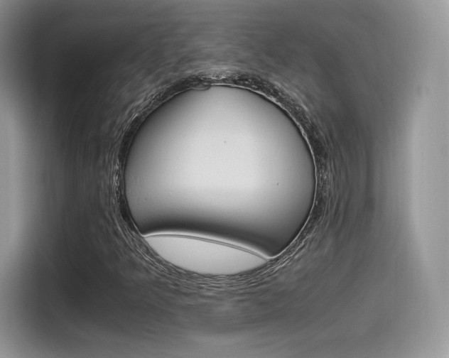 X0000114501349200910191128