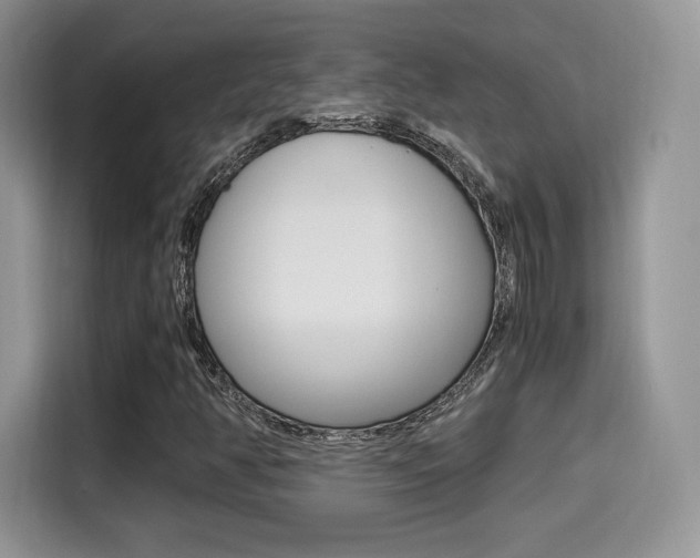 X0000114501350200910191128